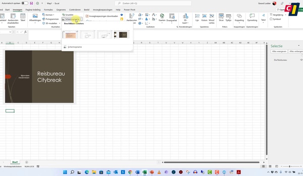 Excel: Schermafbeelding invoegen