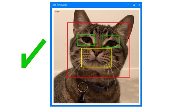 Doe-het-zelf-kattenluikje met gezichtsherkenning