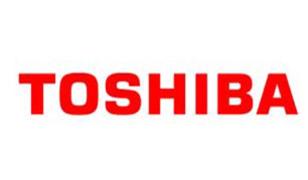 Toshiba 64 GB flash geheugenchip