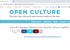 Open Culture Free Language Lessons