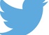 Twitter overhandigt gebruiksgegevens na bedreiging