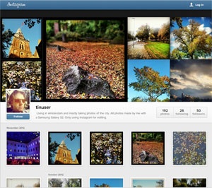 Instagram web profile