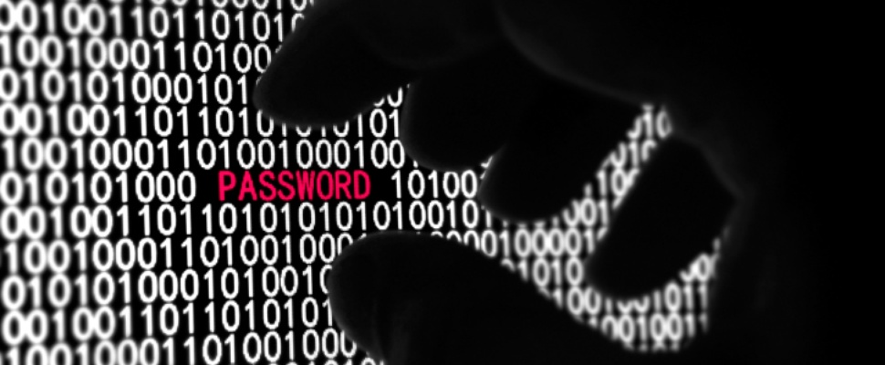 Nederlands botnet steelt twee miljoen zwakke wachtwoorden